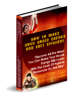 How to Make Your Home Energy and Cost Efficient